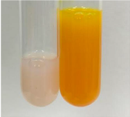 Molecules 28 05572 i203 Molecules 28 05572 i203