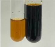 Molecules 28 05572 i207 Molecules 28 05572 i207