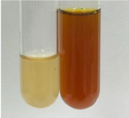 Molecules 28 05572 i211 Molecules 28 05572 i211