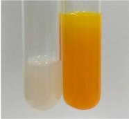 Molecules 28 05572 i213 Molecules 28 05572 i213