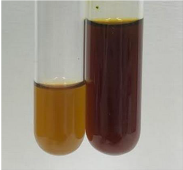 Molecules 28 05572 i221 Molecules 28 05572 i221