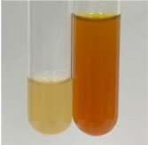 Molecules 28 05572 i225 Molecules 28 05572 i225