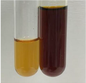 Molecules 28 05572 i227 Molecules 28 05572 i227