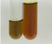 Molecules 28 05572 i229 Molecules 28 05572 i229