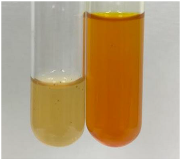 Molecules 28 05572 i231 Molecules 28 05572 i231