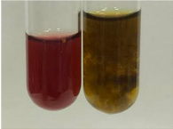 Molecules 28 05572 i237 Molecules 28 05572 i237