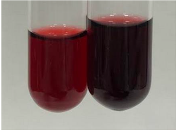 Molecules 28 05572 i242 Molecules 28 05572 i242