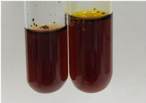 Molecules 28 05572 i247 Molecules 28 05572 i247