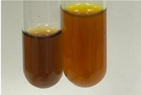 Molecules 28 05572 i249 Molecules 28 05572 i249