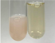 Molecules 28 05572 i255 Molecules 28 05572 i255