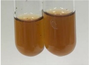 Molecules 28 05572 i262 Molecules 28 05572 i262