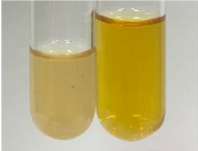 Molecules 28 05572 i263 Molecules 28 05572 i263