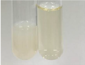 Molecules 28 05572 i265 Molecules 28 05572 i265