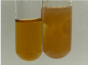 Molecules 28 05572 i268 Molecules 28 05572 i268