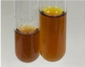 Molecules 28 05572 i269 Molecules 28 05572 i269