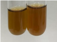 Molecules 28 05572 i274 Molecules 28 05572 i274