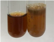 Molecules 28 05572 i276 Molecules 28 05572 i276