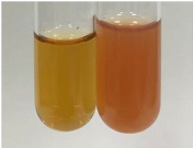 Molecules 28 05572 i280 Molecules 28 05572 i280