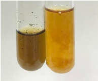 Molecules 28 05572 i281 Molecules 28 05572 i281