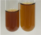 Molecules 28 05572 i285 Molecules 28 05572 i285