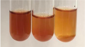 Molecules 28 05572 i287 Molecules 28 05572 i287