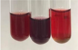 Molecules 28 05572 i291 Molecules 28 05572 i291