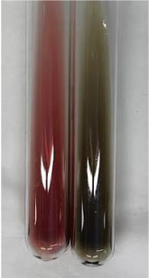 Molecules 28 05572 i292 Molecules 28 05572 i292