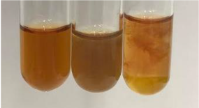 Molecules 28 05572 i295 Molecules 28 05572 i295