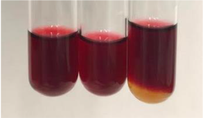 Molecules 28 05572 i299 Molecules 28 05572 i299