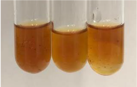 Molecules 28 05572 i303 Molecules 28 05572 i303