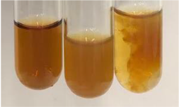 Molecules 28 05572 i307 Molecules 28 05572 i307