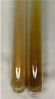 Molecules 28 05572 i308 Molecules 28 05572 i308