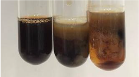 Molecules 28 05572 i311 Molecules 28 05572 i311