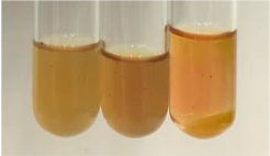 Molecules 28 05572 i319 Molecules 28 05572 i319