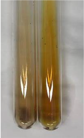 Molecules 28 05572 i320 Molecules 28 05572 i320