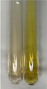 Molecules 28 05572 i324 Molecules 28 05572 i324