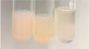 Molecules 28 05572 i327 Molecules 28 05572 i327