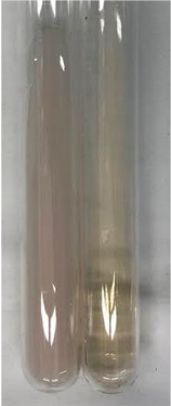 Molecules 28 05572 i328 Molecules 28 05572 i328