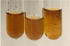 Molecules 28 05572 i335 Molecules 28 05572 i335