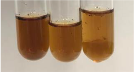 Molecules 28 05572 i339 Molecules 28 05572 i339