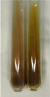 Molecules 28 05572 i340 Molecules 28 05572 i340