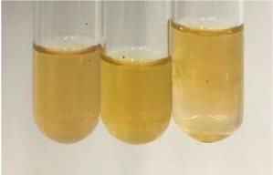 Molecules 28 05572 i343 Molecules 28 05572 i343