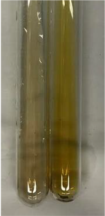 Molecules 28 05572 i344 Molecules 28 05572 i344