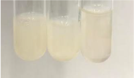 Molecules 28 05572 i347 Molecules 28 05572 i347