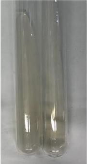 Molecules 28 05572 i348 Molecules 28 05572 i348