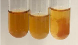 Molecules 28 05572 i351 Molecules 28 05572 i351