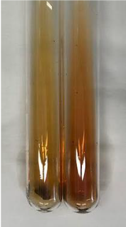 Molecules 28 05572 i352 Molecules 28 05572 i352