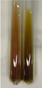 Molecules 28 05572 i356 Molecules 28 05572 i356