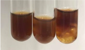 Molecules 28 05572 i359 Molecules 28 05572 i359