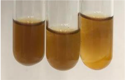 Molecules 28 05572 i363 Molecules 28 05572 i363